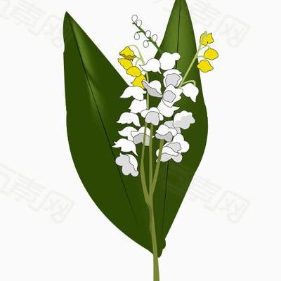 植物有線粒體嗎？一些細(xì)胞，如原生生物錐體蟲(chóng)中，只有一個(gè)大的線粒體，但通常一個(gè)細(xì)胞中有成百上千個(gè)。那么，植物有線粒體嗎？一起來(lái)了解下吧。